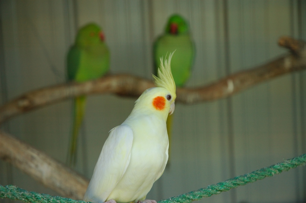 dsc_6885.jpg