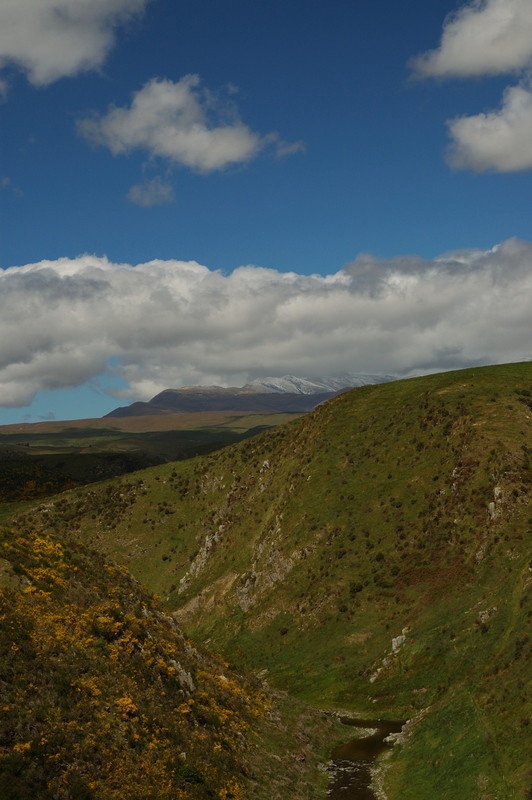dsc_7010.jpg