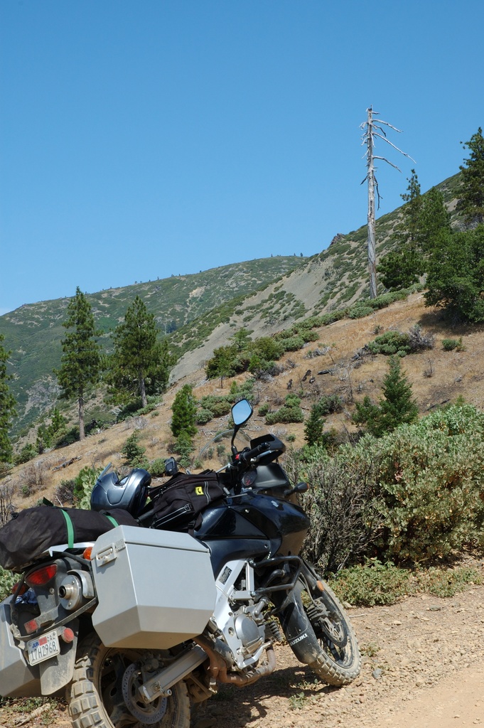dsc_5488.jpg