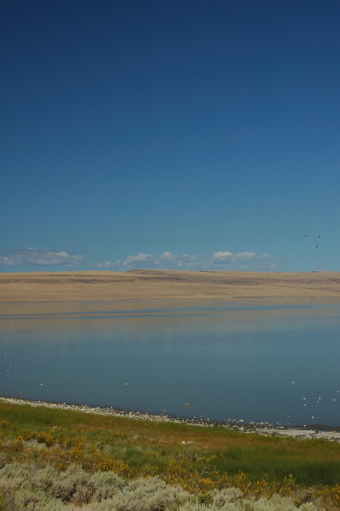 dsc_5684.jpg