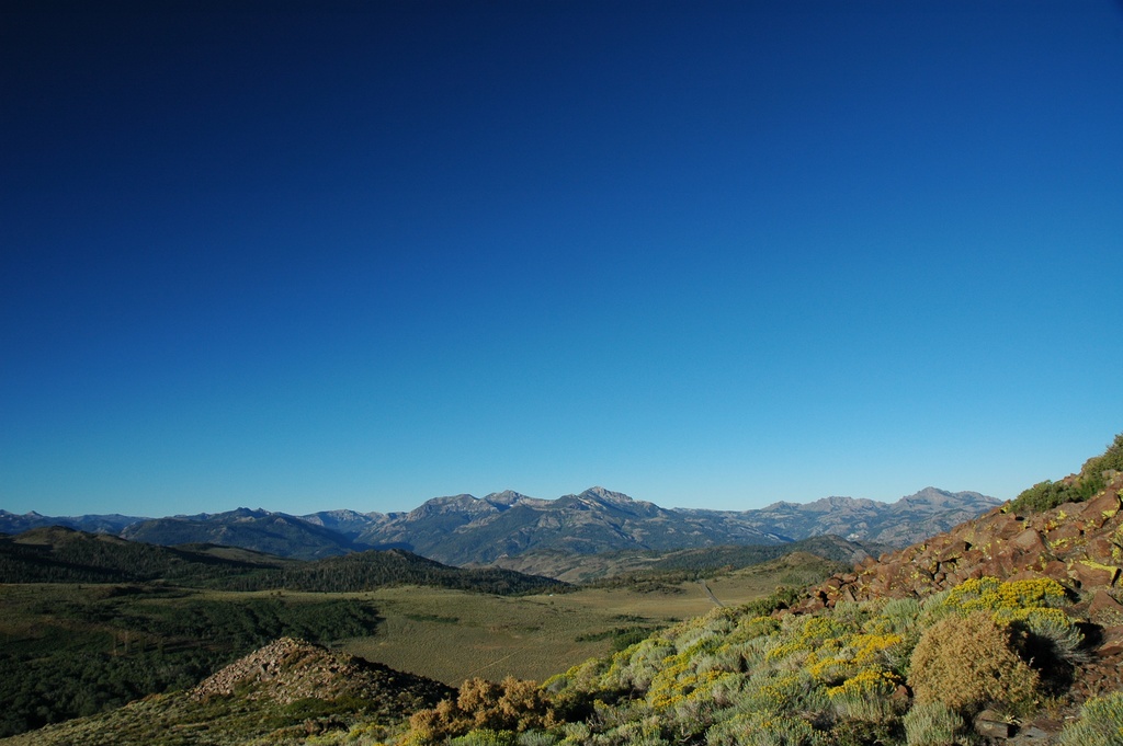 dsc_5925.jpg
