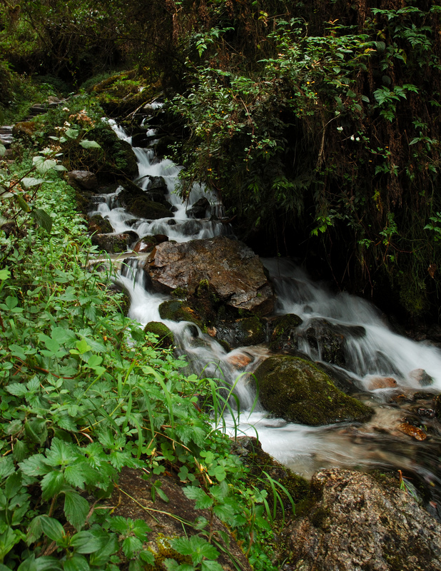 dsc_8658.jpg