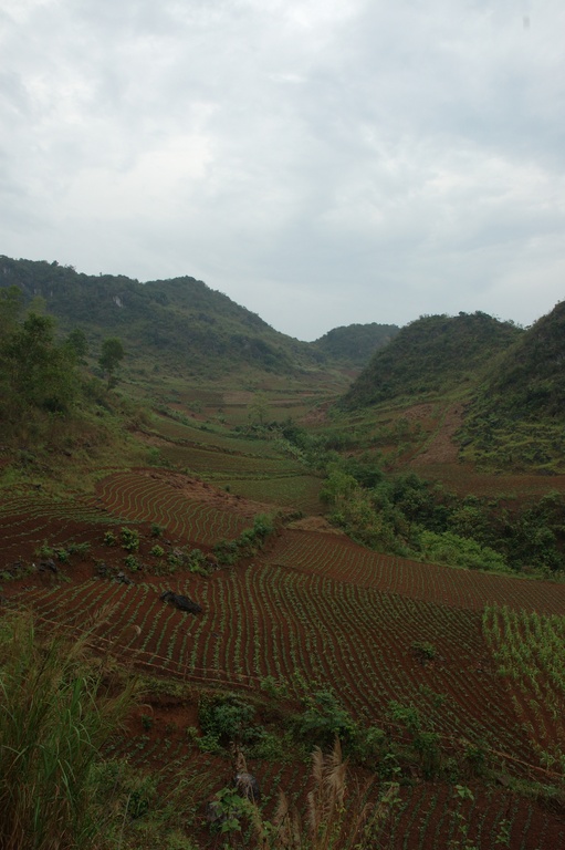 dsc_4924.jpg